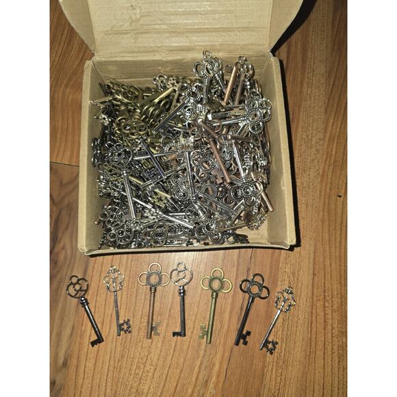 Hotop 240 Pcs Vintage Large Skeleton Key Set Finish Skeleton Bulk Steampunk... - Picture 1 of 2
